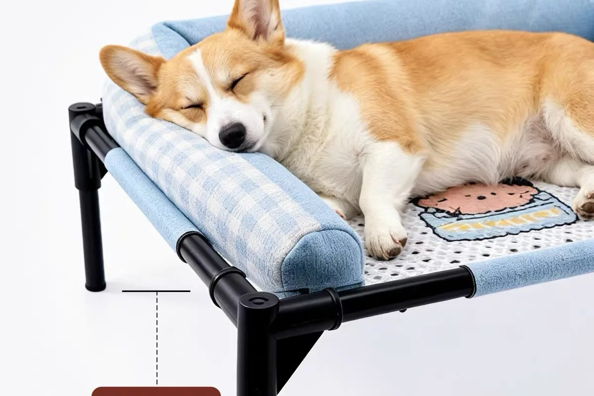 Dog Health & Grooming