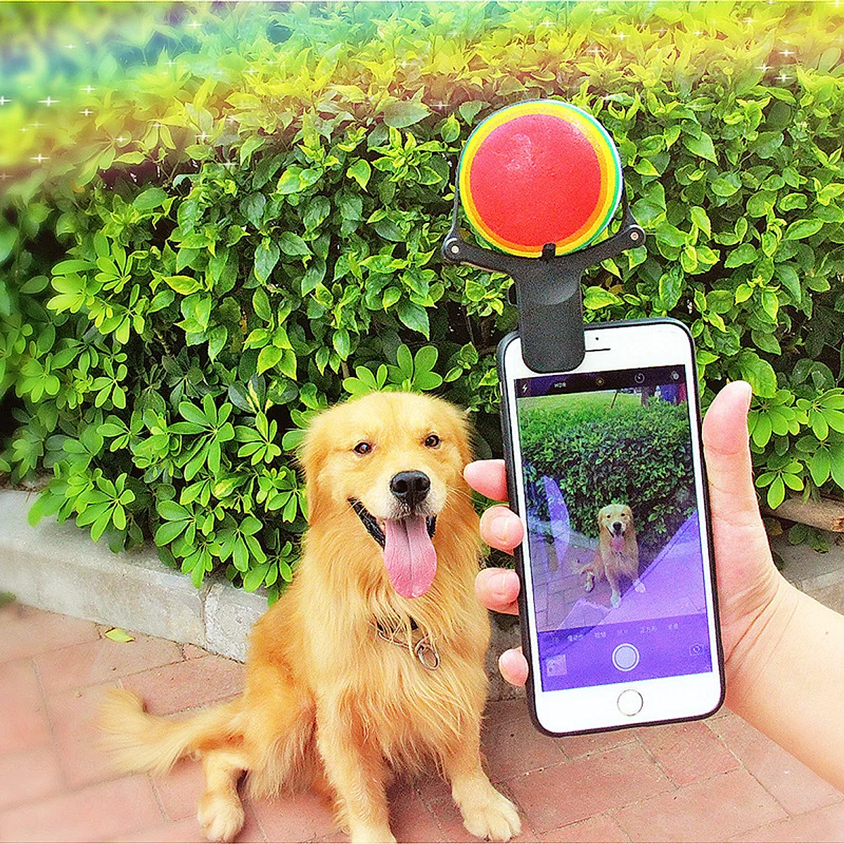 Pet Photo Props Toy Pet Photo Selfie Artifact - Image 2