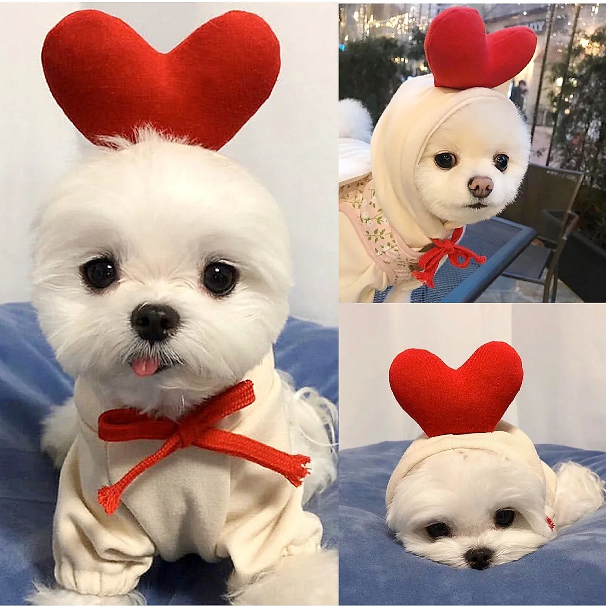 Cute Fruit Dog Clothes For Small Dogs Hoodies - Image 1