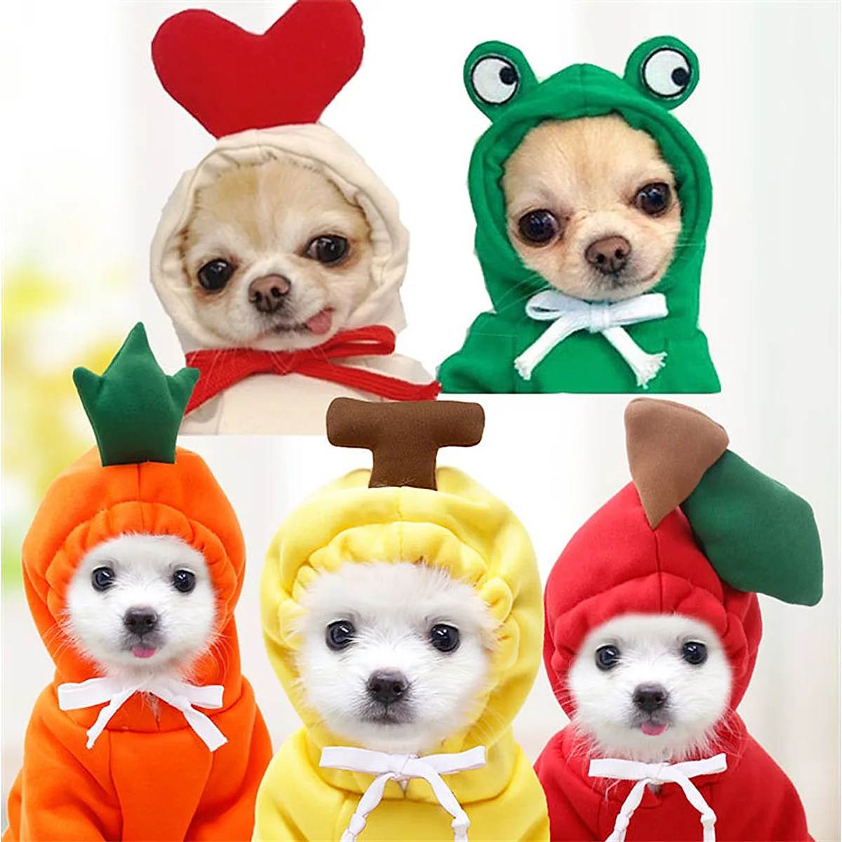 Cute Fruit Dog Clothes For Small Dogs Hoodies - Image 6