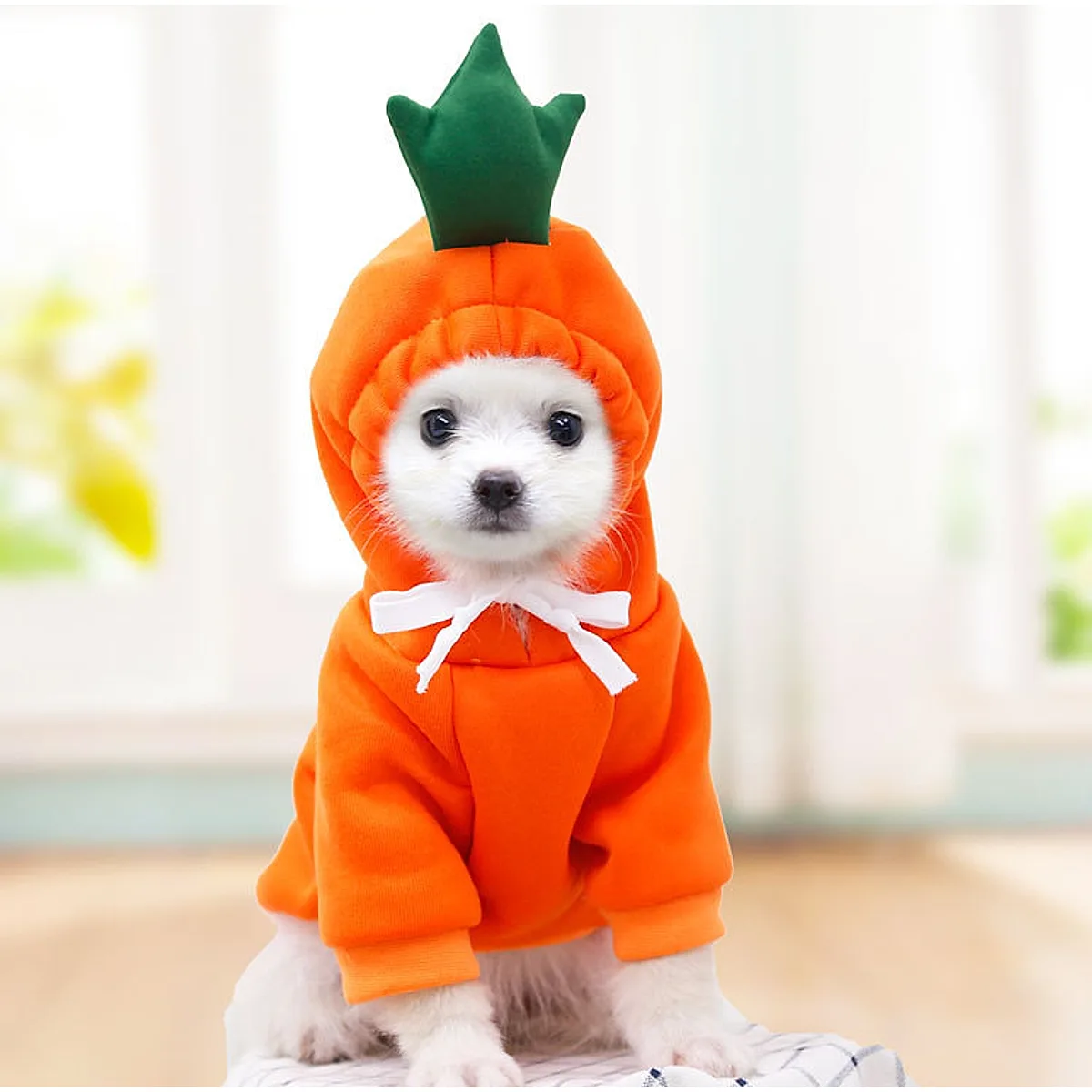 Cute Fruit Dog Clothes For Small Dogs Hoodies - Image 8