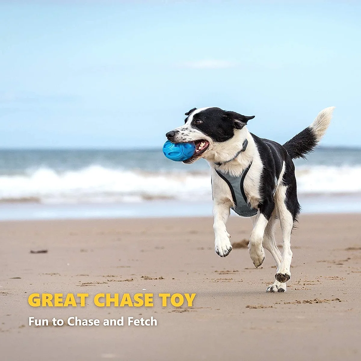 Pet Supplies Dog Toys Rubber Sounding Rugby Wear-Resistant - Image 4