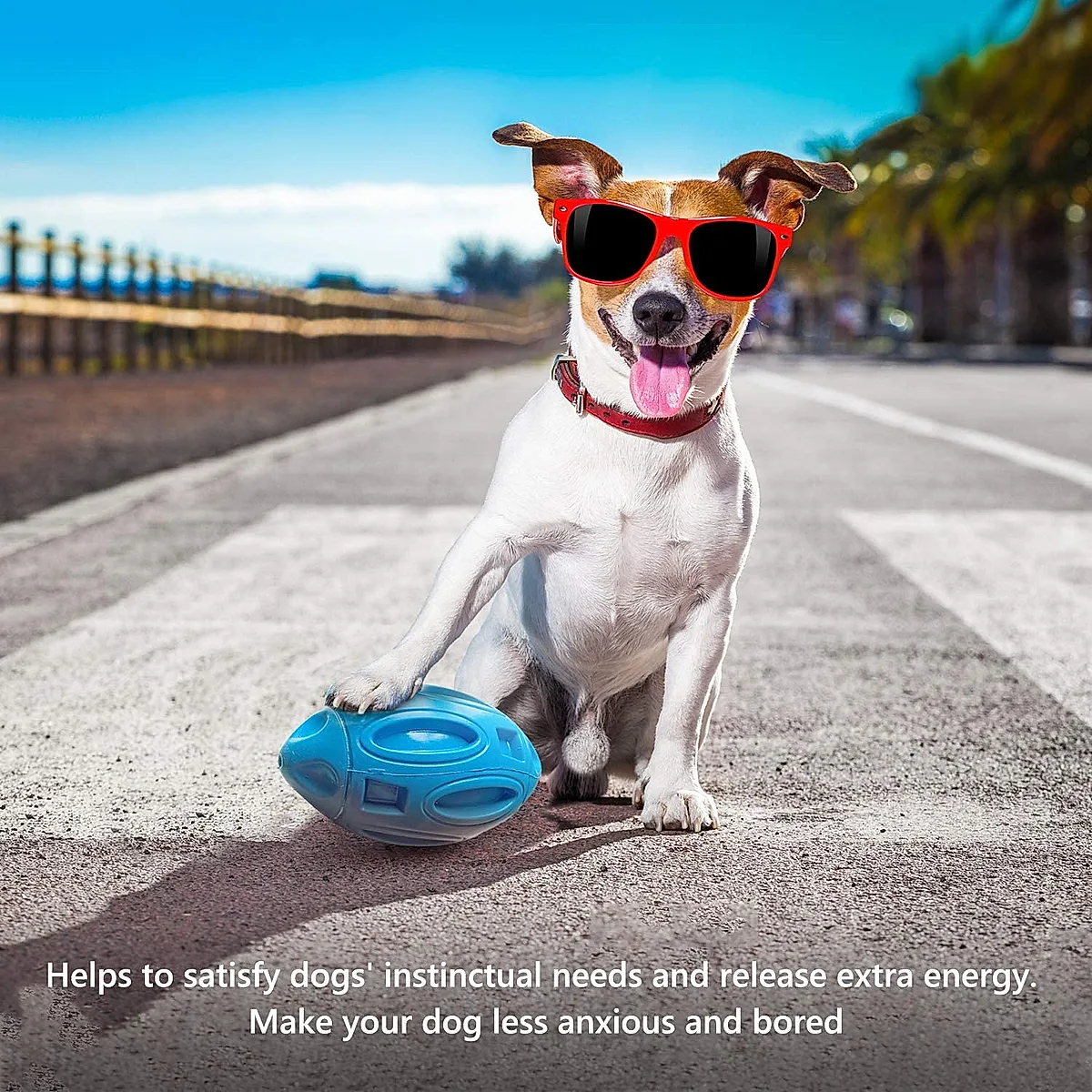 Pet Supplies Dog Toys Rubber Sounding Rugby Wear-Resistant - Image 5