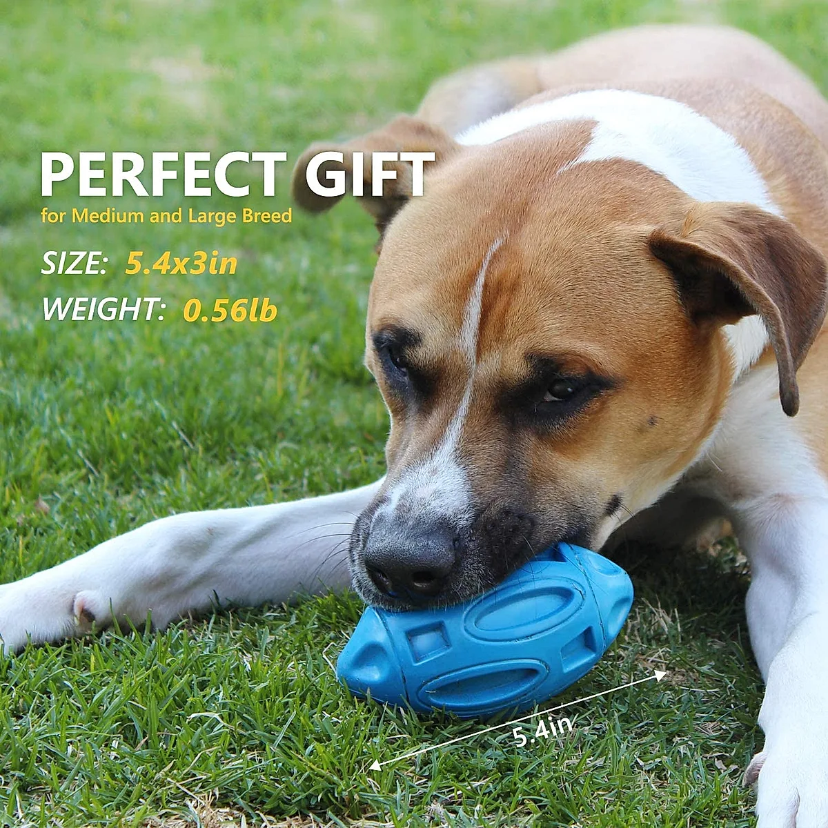 Pet Supplies Dog Toys Rubber Sounding Rugby Wear-Resistant - Image 8