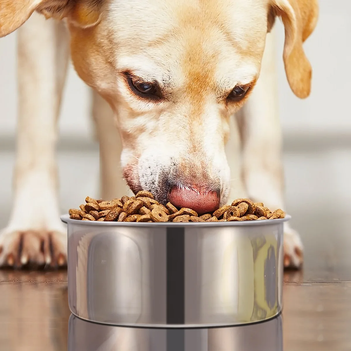 M Size Stainless Steel Dog Bowl Pets Hanging - Image 7