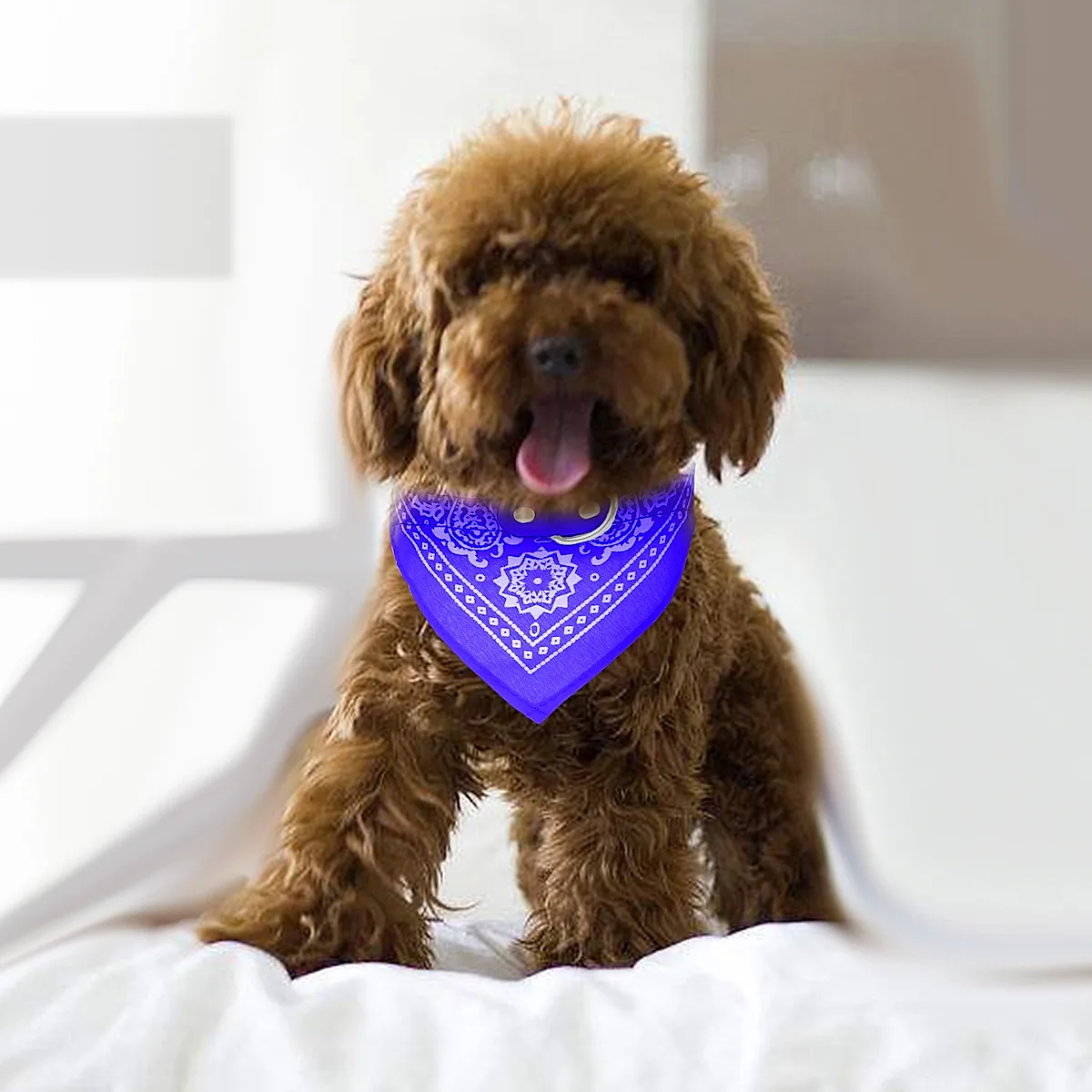 Adjustable Bandana Leather Pet Collar Triangle Scarf - Image 5
