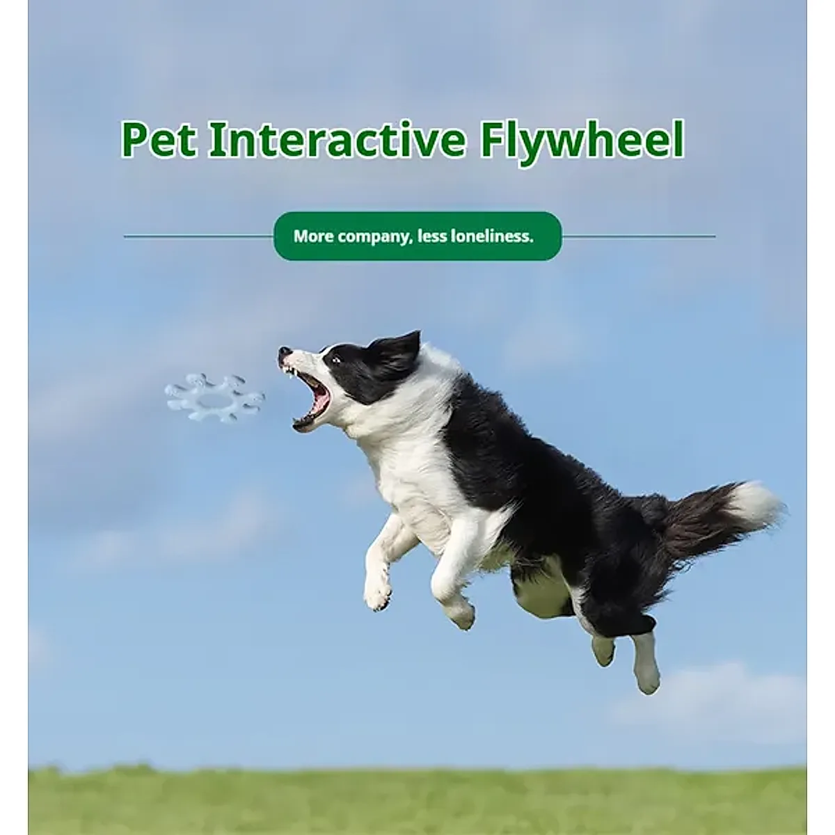 Pet Interactive Flywheel - Image 2