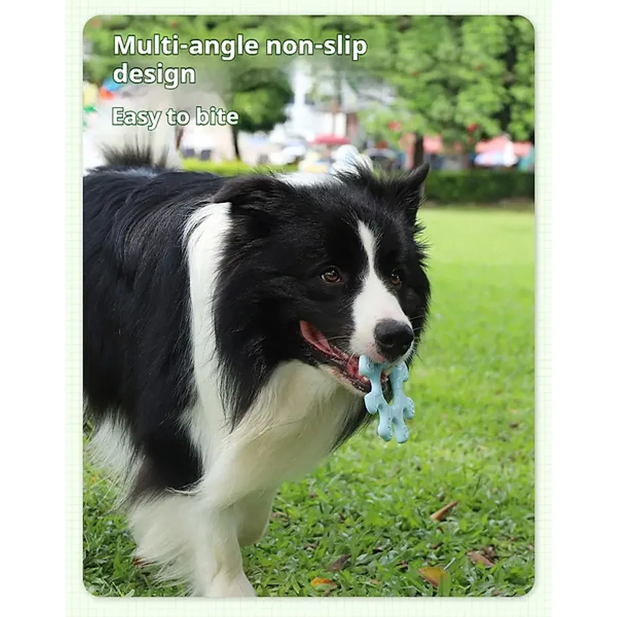 Pet Interactive Flywheel - Image 3