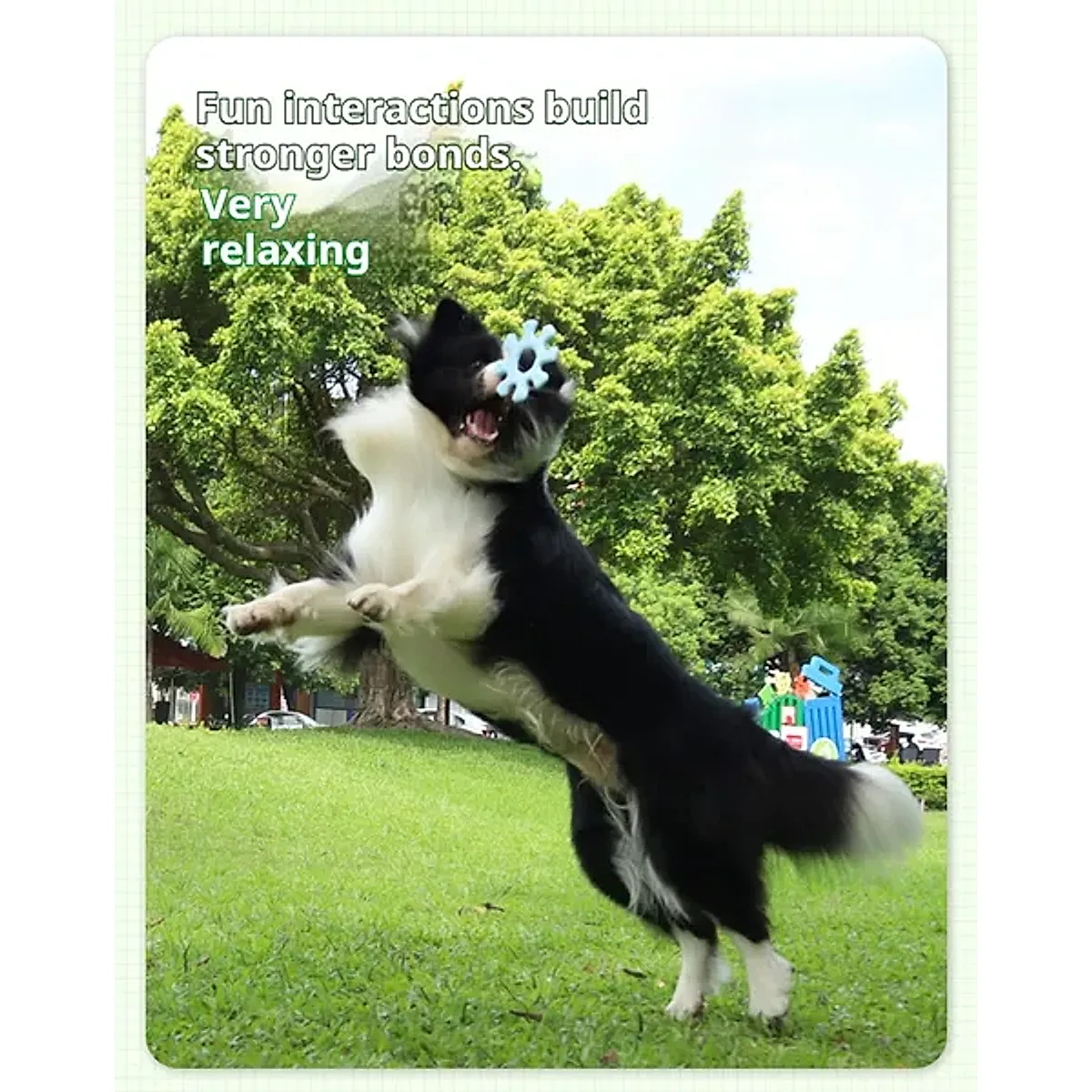 Pet Interactive Flywheel - Image 8