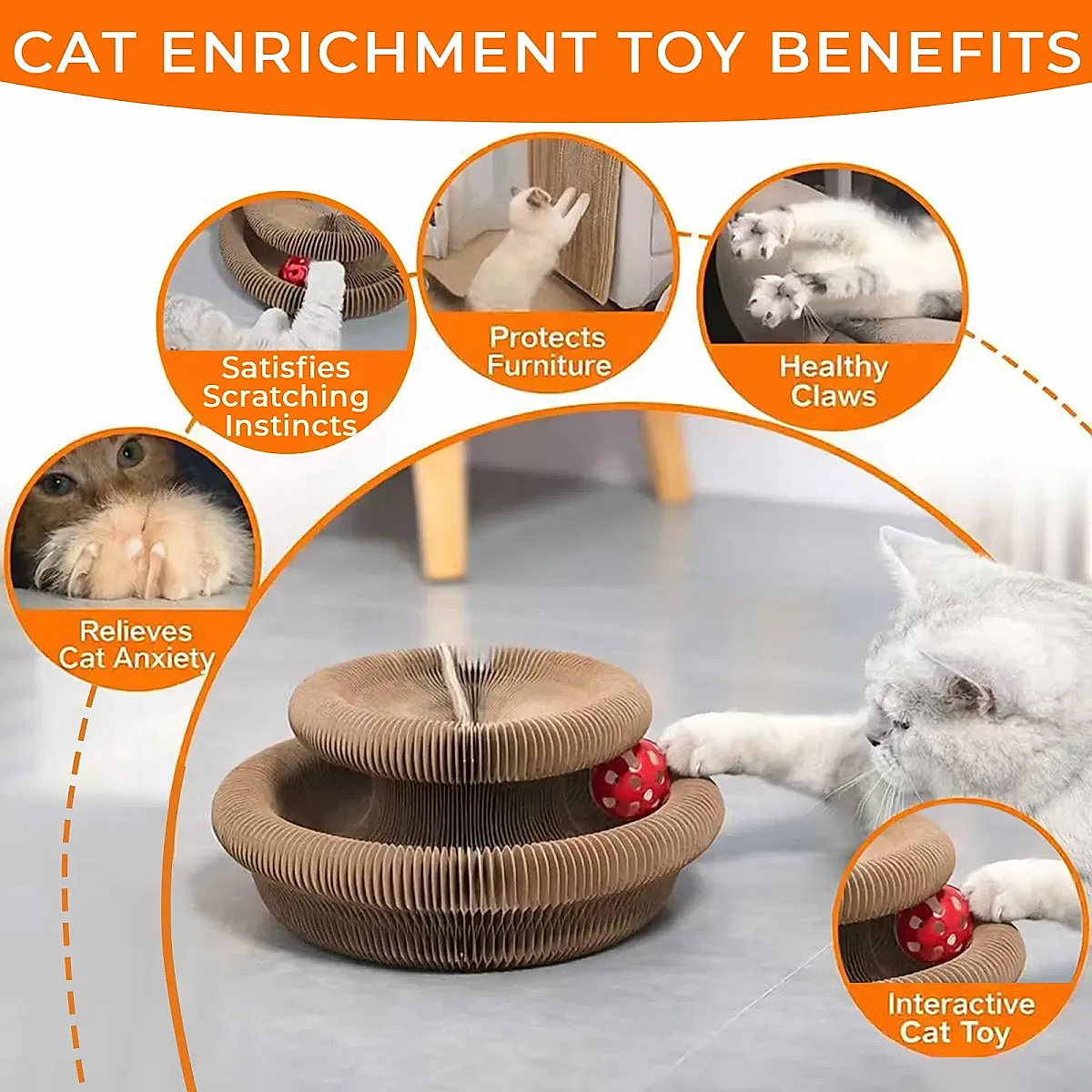 Kitty Curls Cat Toy - Foldable Accordion Cat - Image 3