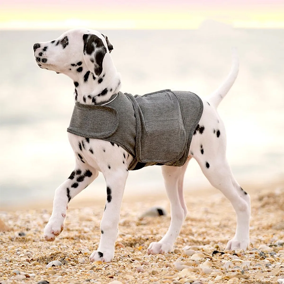 Pet Clothes Dog Anxiety Jacket Warm Vest - Image 4