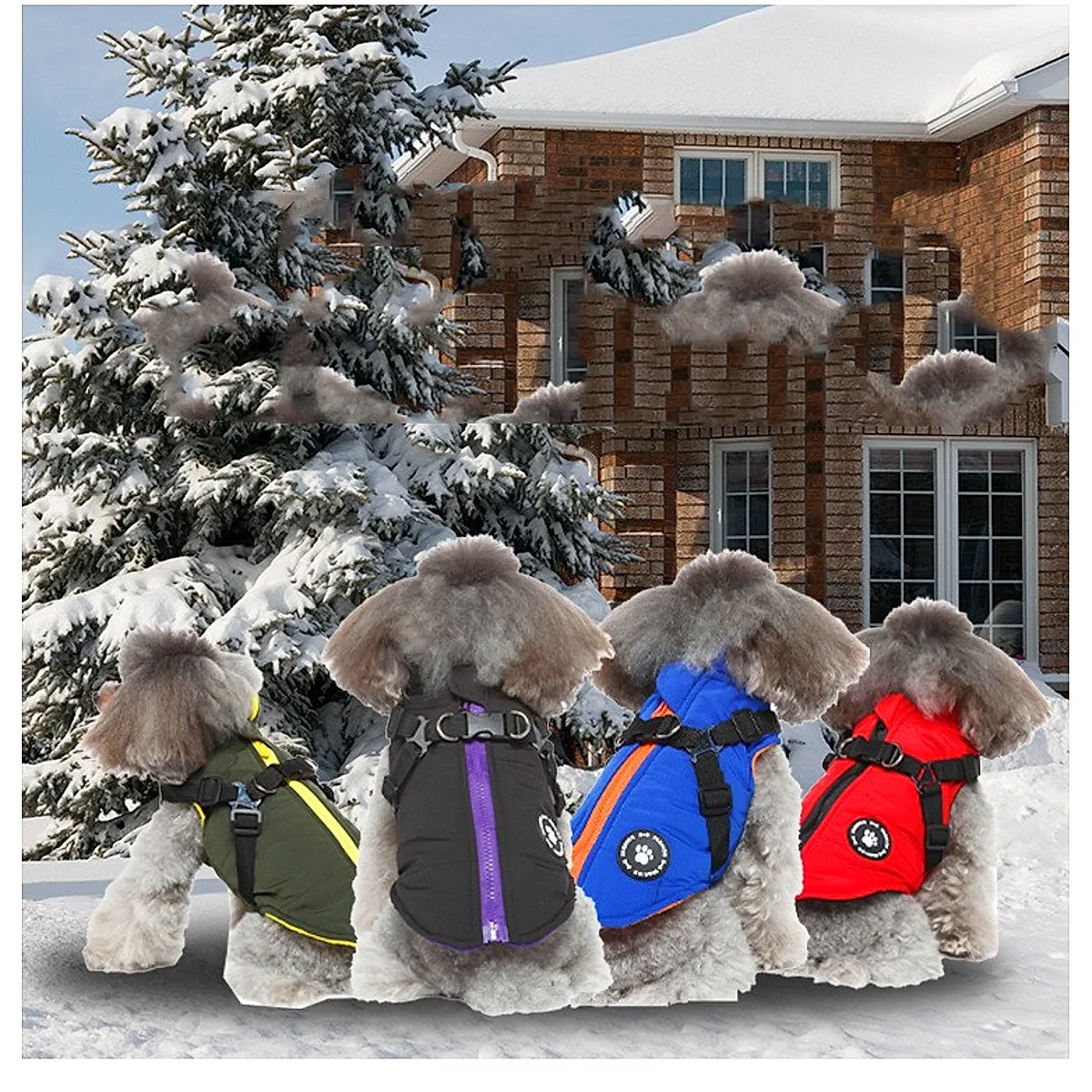 Chest Strap Jacket Cotton-Padded Coat - Image 5