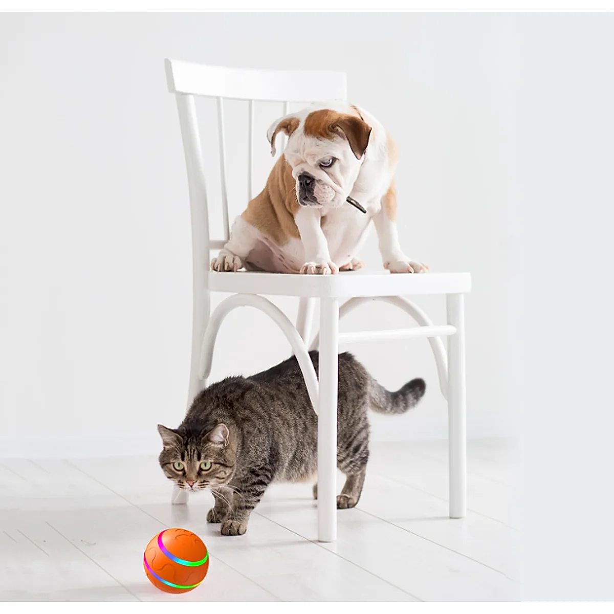 Pet New Cat Wicked Ball Toy Intelligent Ball USB Cat Toys Self Rotating Ball Automatic Rotation Ball - Image 8