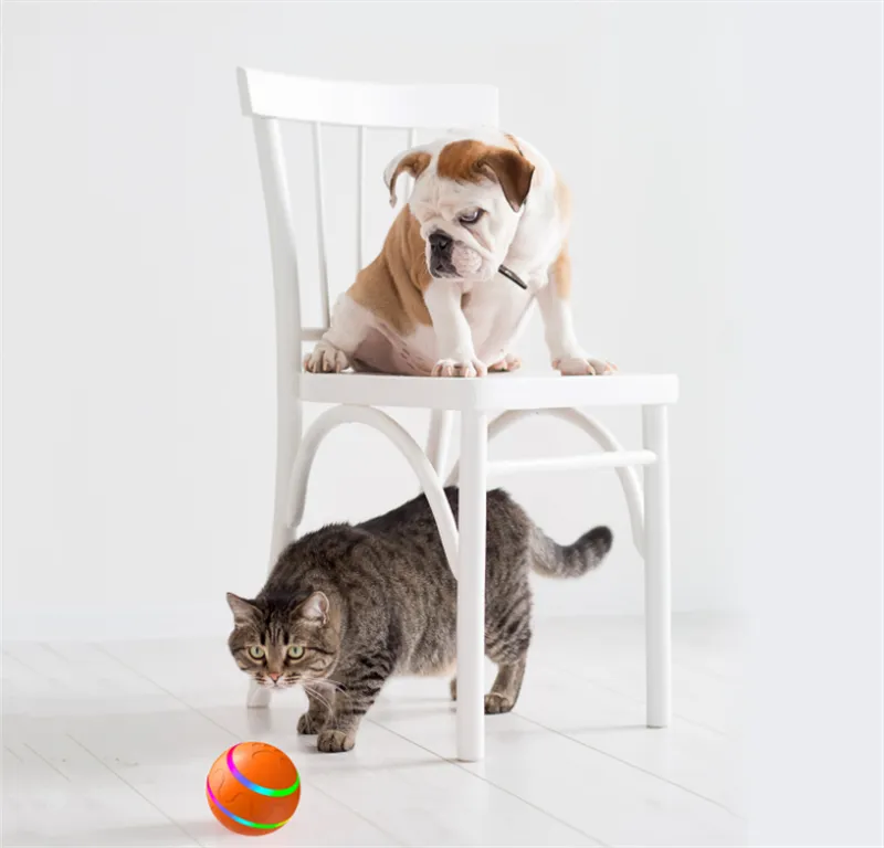 Pet New Cat Wicked Ball Toy Intelligent Ball USB Cat Toys Self Rotating Ball Aut