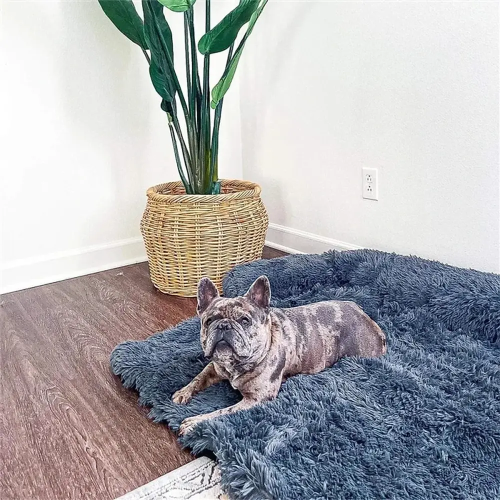 Dog Bed - Image 5