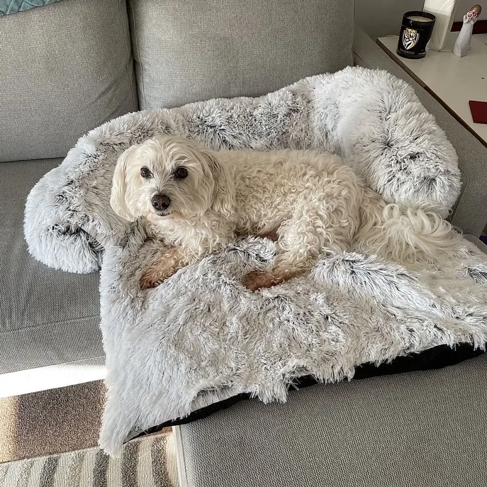 Dog Bed - Image 8