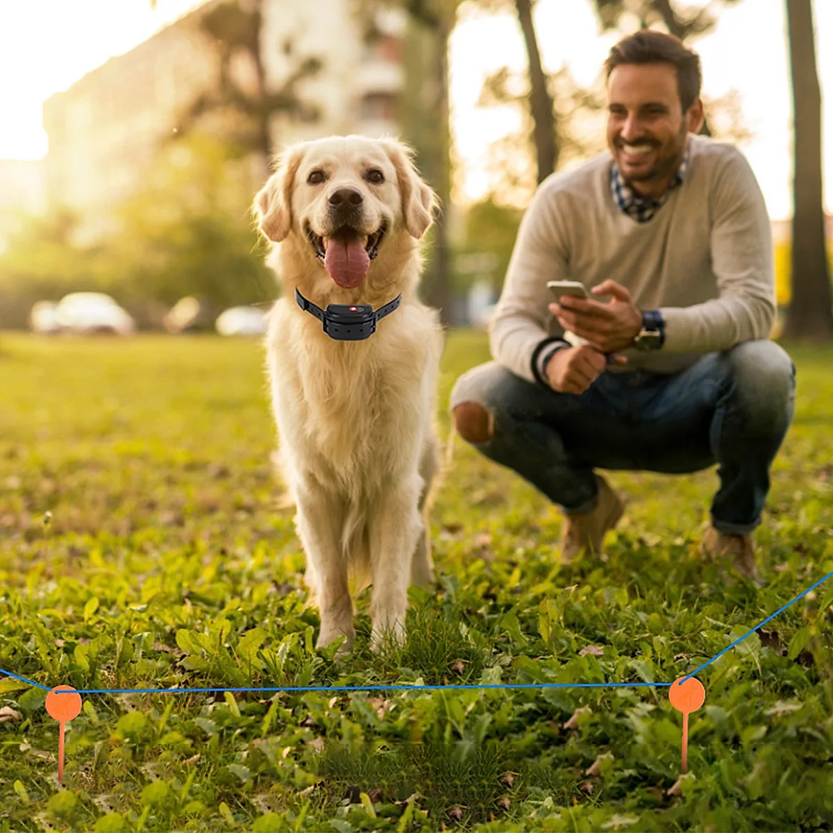 Rechargeable Wireless Dog Fence System - Image 5