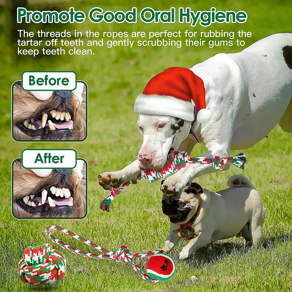 Set Of 5Pcs Christmas Dog Rope Chew Toys Dog Interactive Toys Set For Puppy Small Medium Aggressive Chewers Dogs Training Teething Playing - Image 7