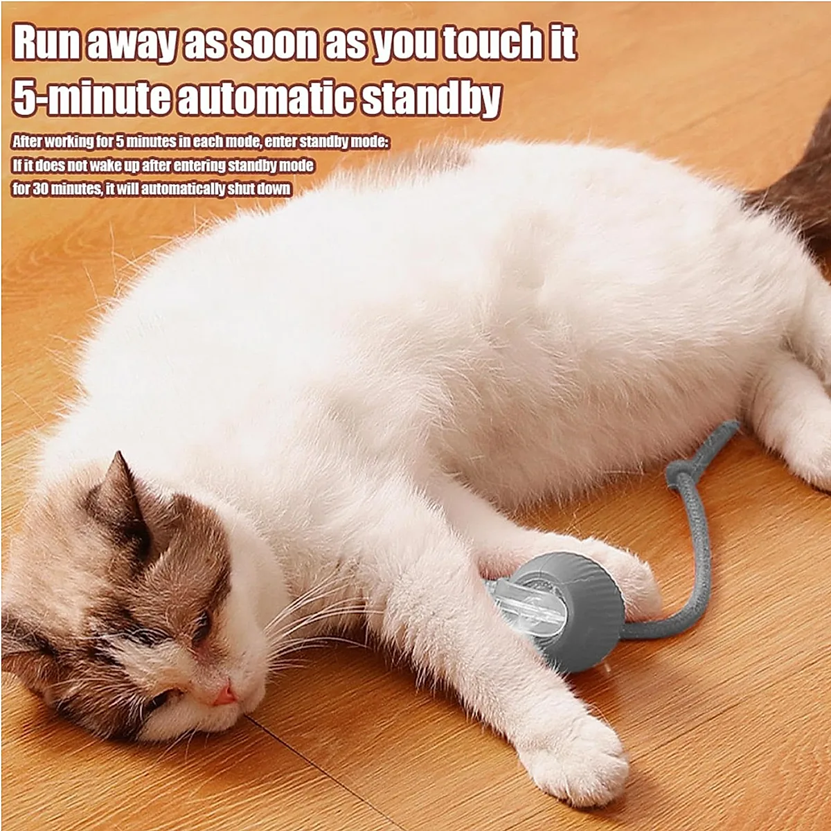 Automatic Rolling Cat Ball with Built-in Battery - Image 1