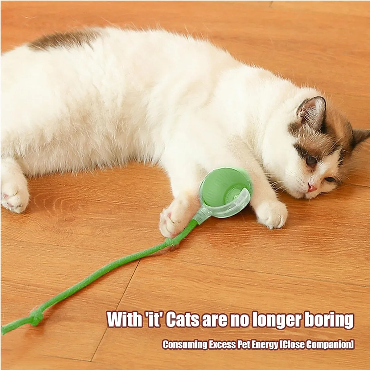 Automatic Rolling Cat Ball with Built-in Battery - Image 3