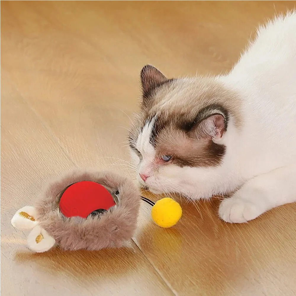 Interactive Rolling Cat Ball