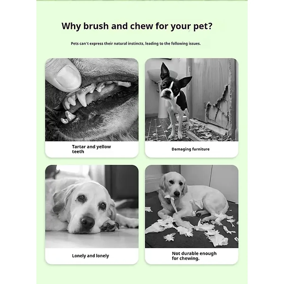 DOG Chew Toys For Teeth Cleaning,Pet Sausage Chew Brush,Pet Chew & Clean Buddy - Image 4