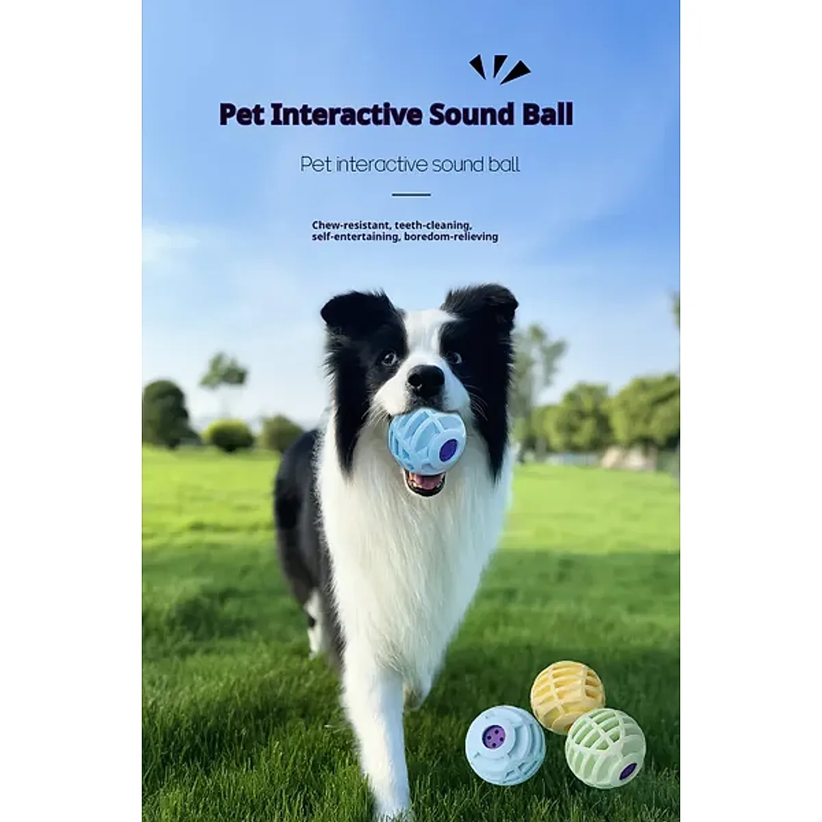 Interactive Squeaky Voice Ball for Dogs & Cats - Image 3