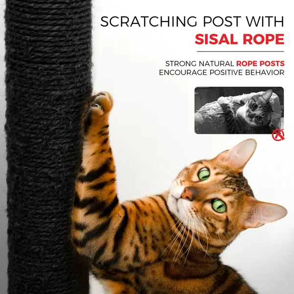 Black Gothic Cat Tree, Multi-Level Spooky Cat Tree With Scratching Posts, Perche