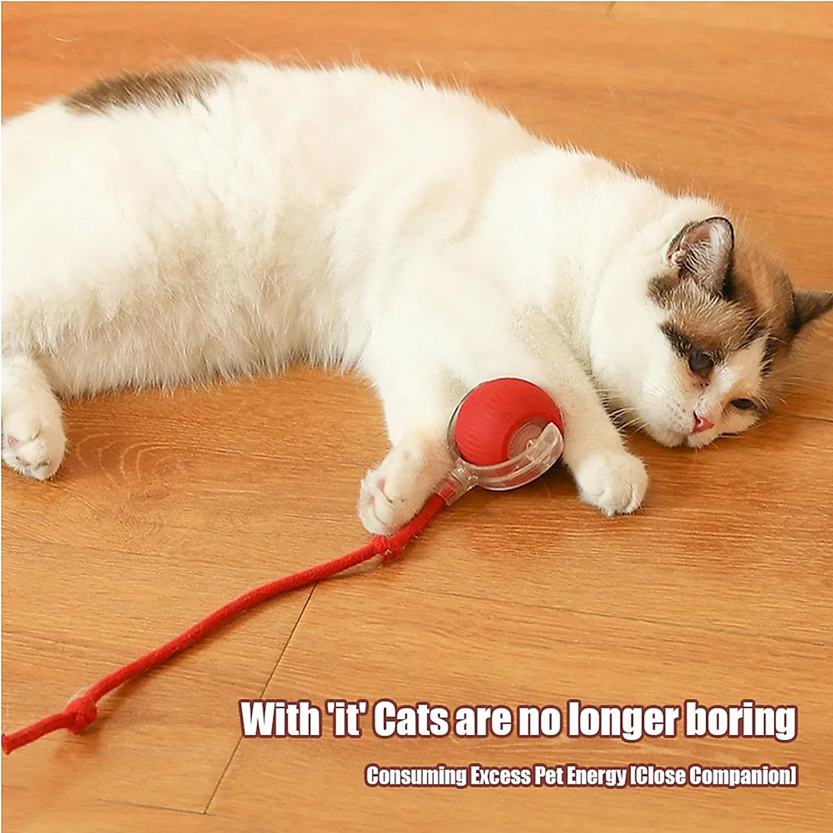 Electric Dog Cat Ball Toy,Indoor Large And Small Cat Dog Interactive Intelligent Rolling Pet Ball - Image 6