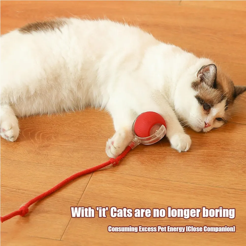 Electric Dog Cat Ball Toy,Indoor Large And Small Cat Dog Interactive Intelligent