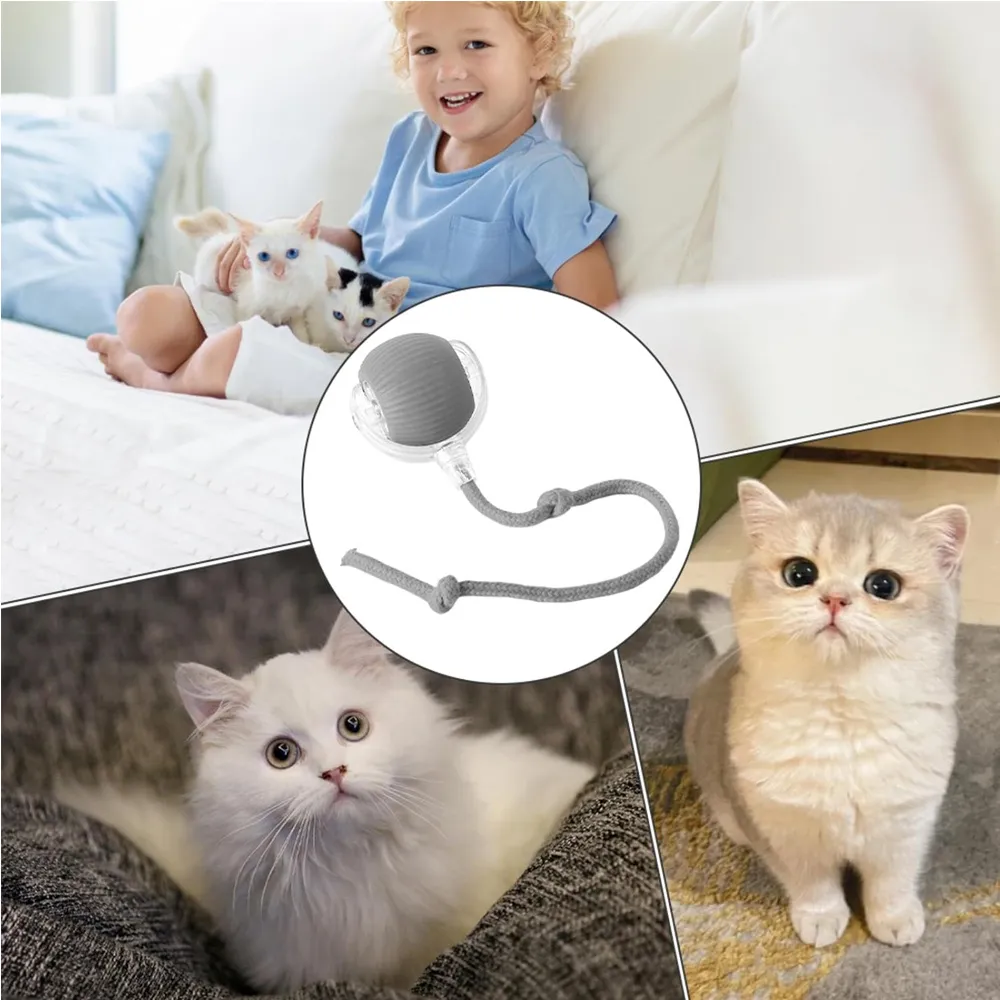 Electric Dog Cat Ball Toy,Indoor Large And Small Cat Dog Interactive Intelligent