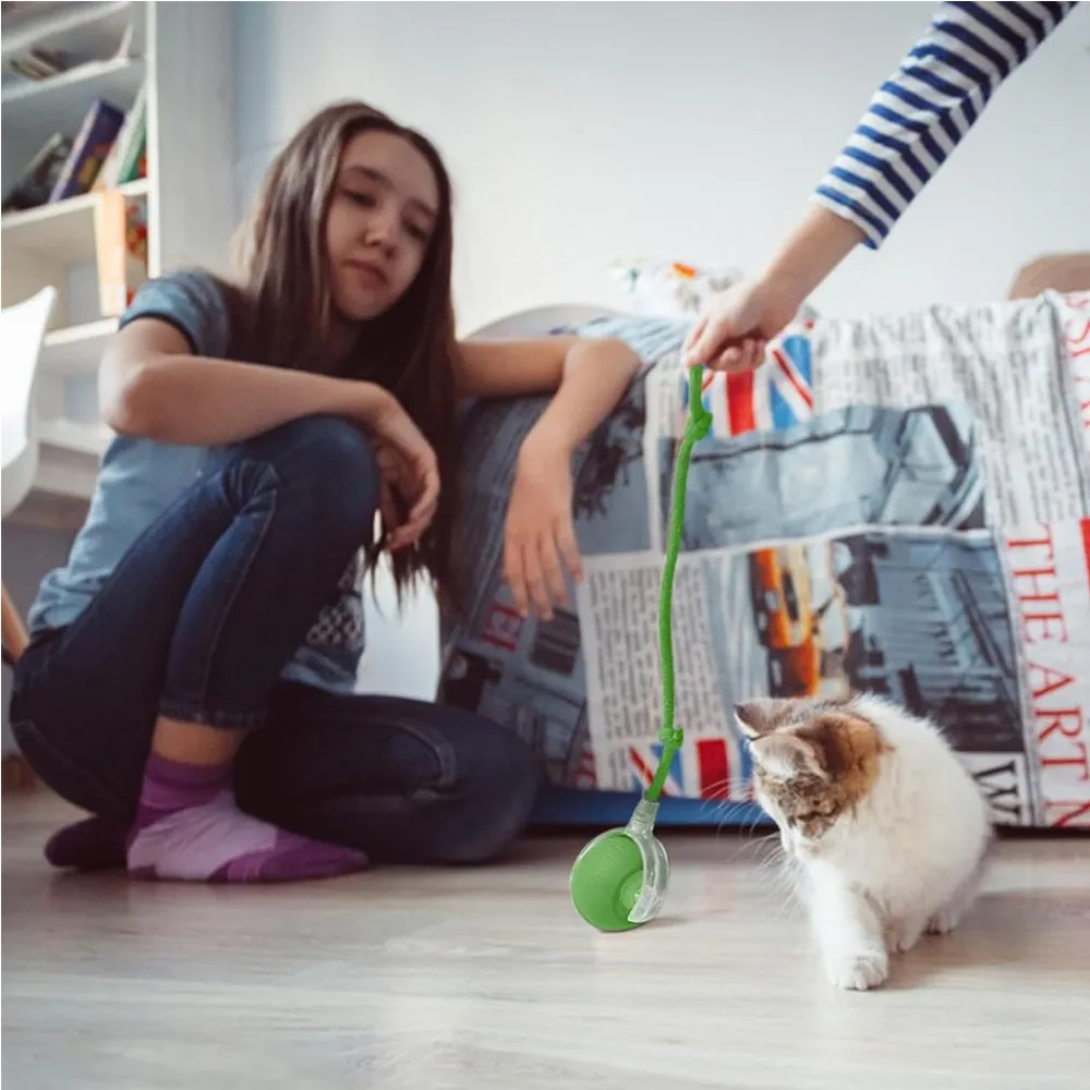 Electric Dog Cat Ball Toy,Indoor Large And Small Cat Dog Interactive Intelligent