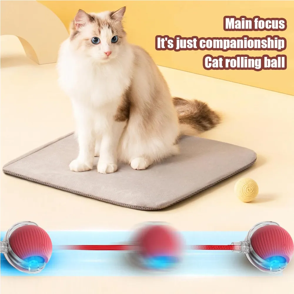 Electric Dog Cat Ball Toy,Indoor Large And Small Cat Dog Interactive Intelligent