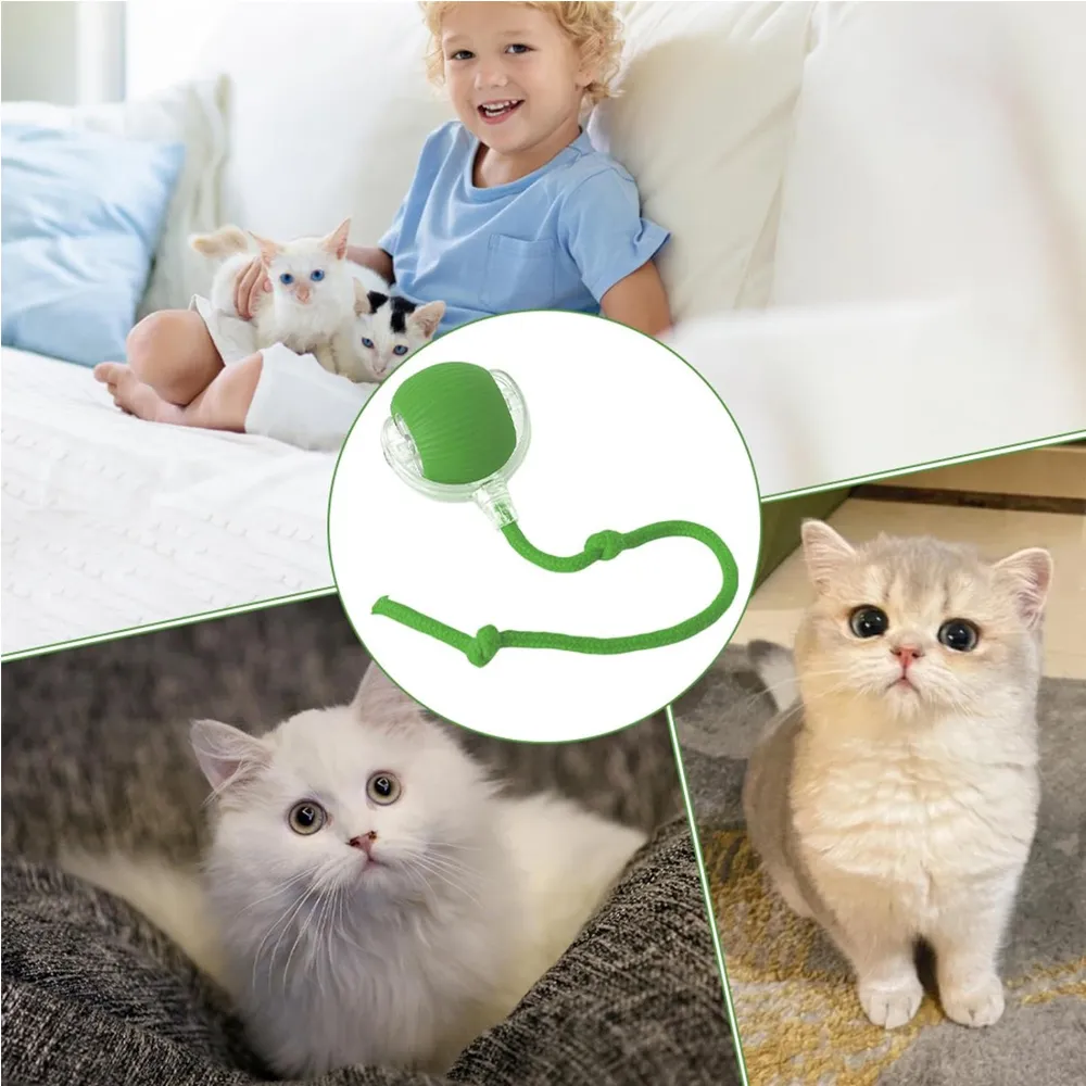 Electric Dog Cat Ball Toy,Indoor Large And Small Cat Dog Interactive Intelligent