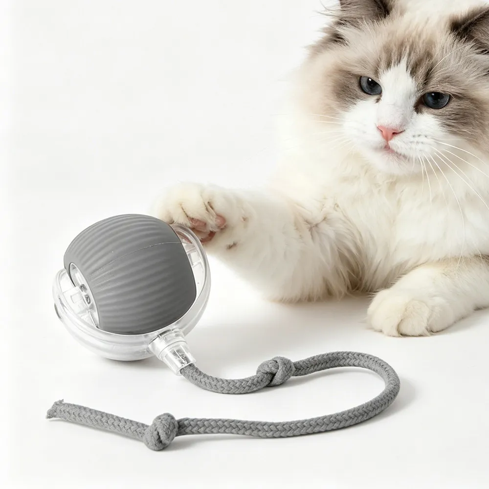Electric Dog Cat Ball Toy,Indoor Large And Small Cat Dog Interactive Intelligent