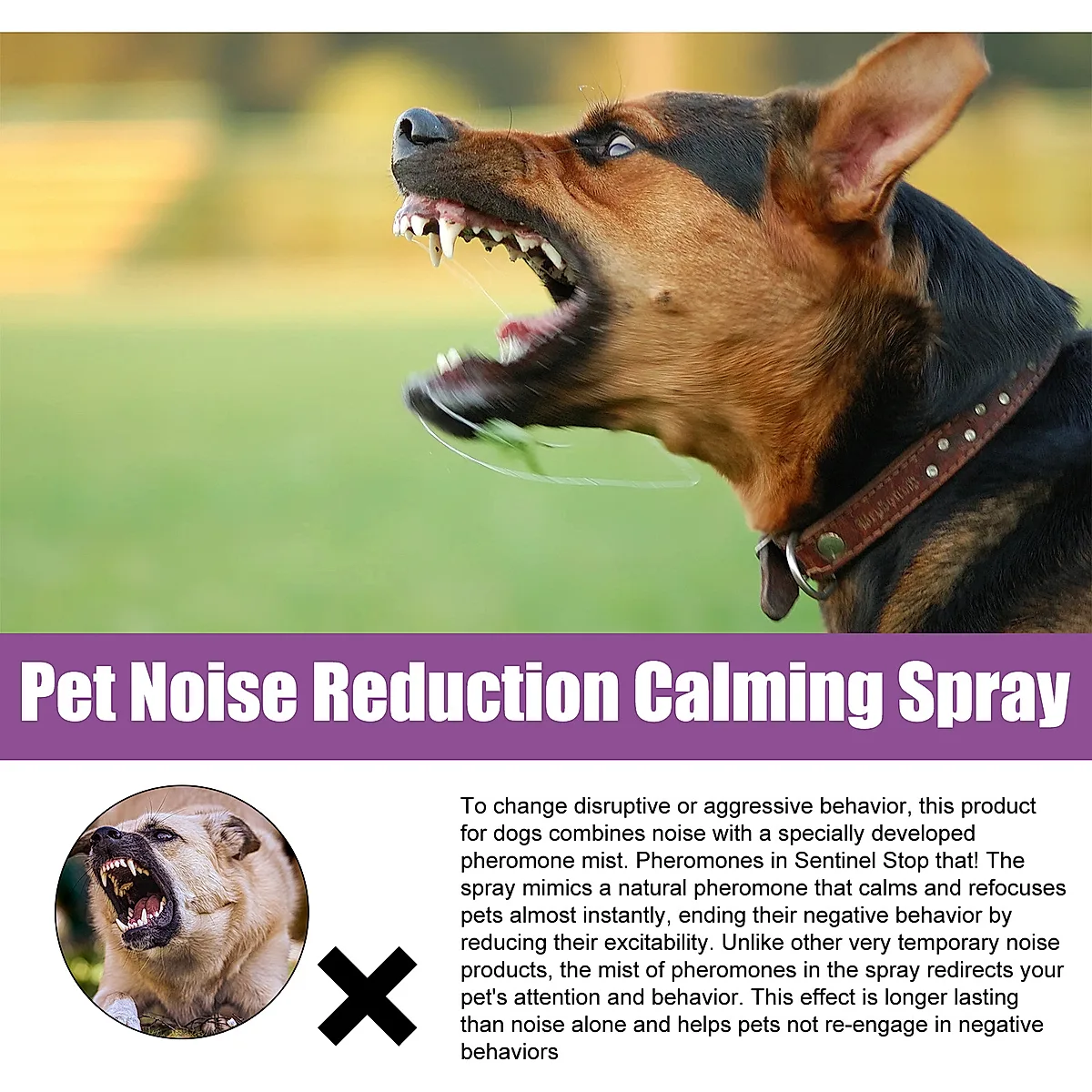 Lavender & Chamomile Calming Spray for Dogs - Image 3