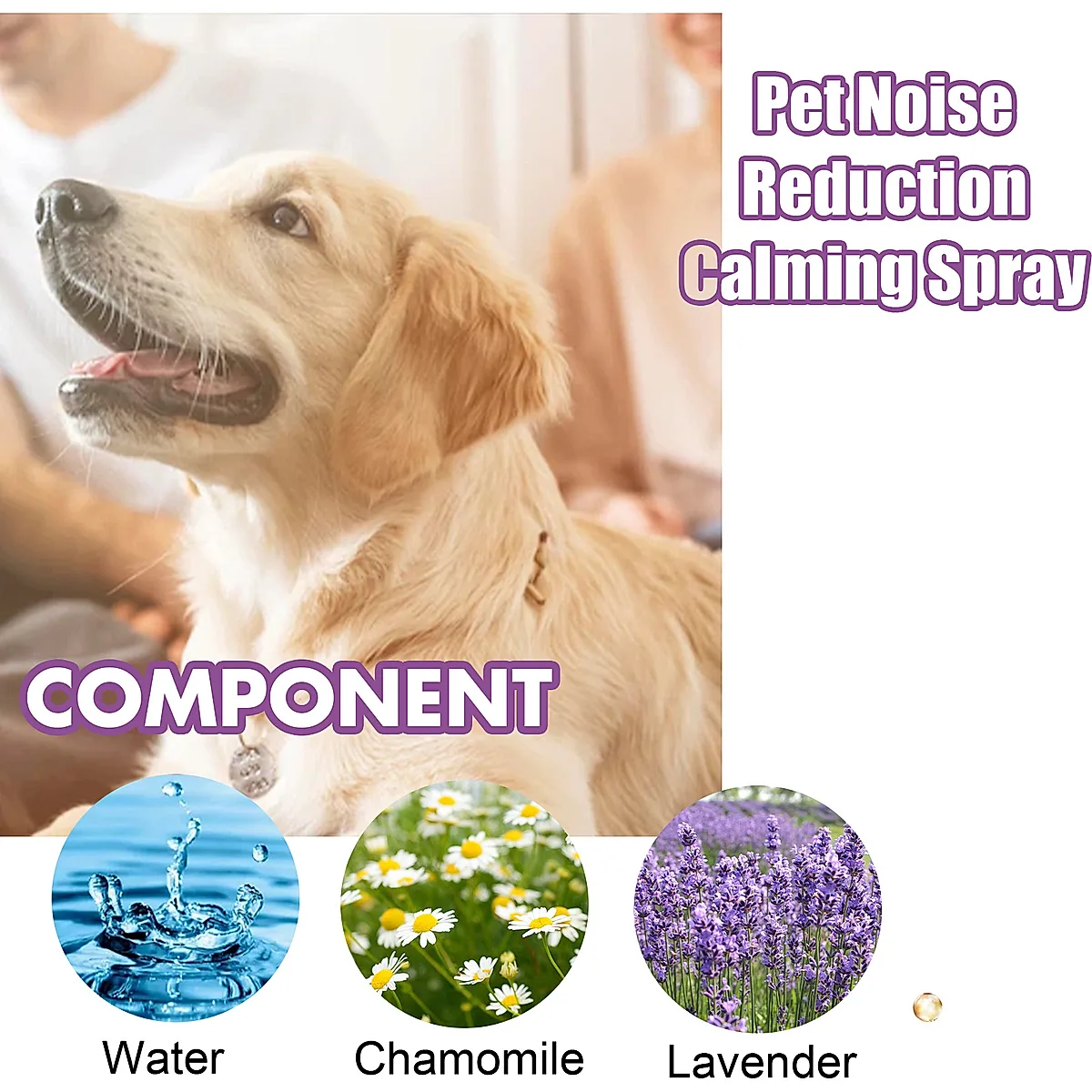 Lavender & Chamomile Calming Spray for Dogs - Image 6