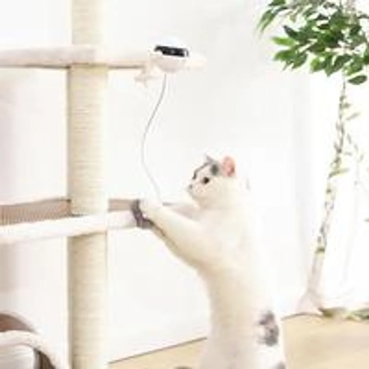 Pet Cat Toy Electronic Motion Cat Toy Interactive - Image 6