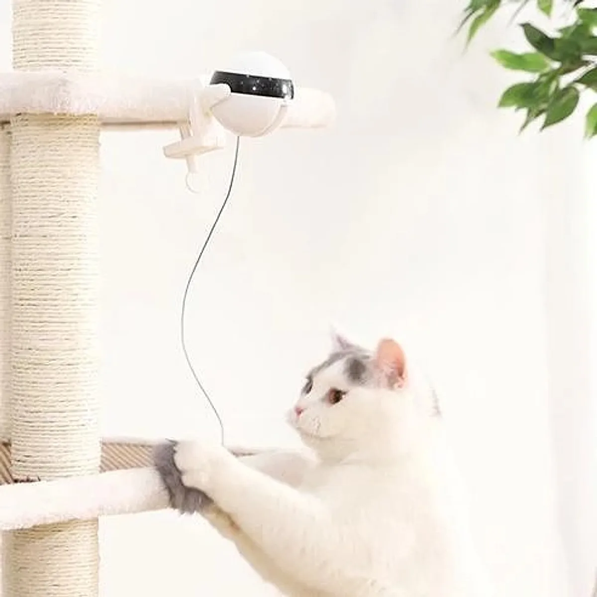 Pet Cat Toy Electronic Motion Cat Toy Interactive - Image 8