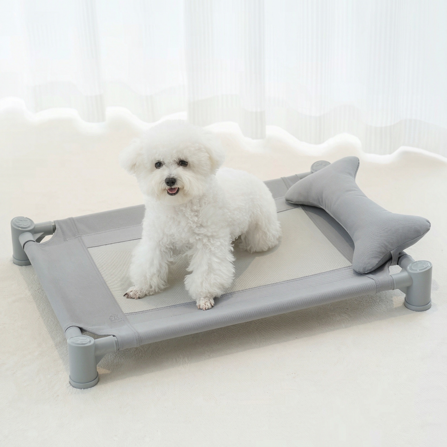 Dog Furniture & Carriers
