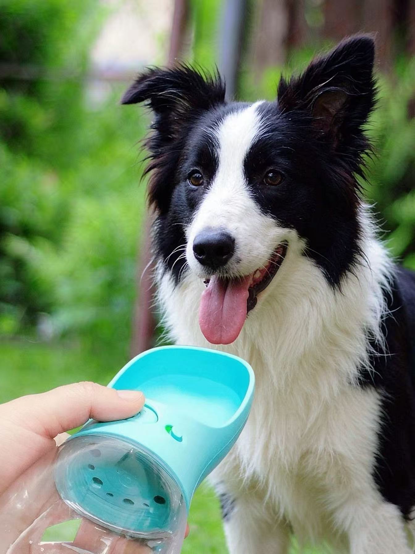 Feeding & Hydration